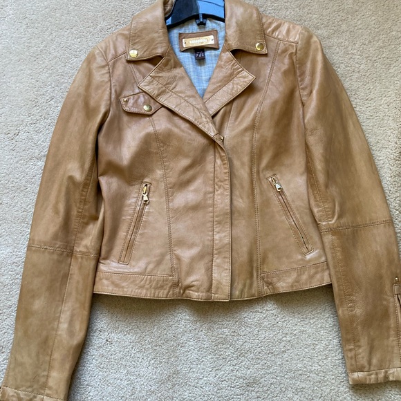DANIER:  Genuine Leather Jacket - tan - Picture 6 of 14